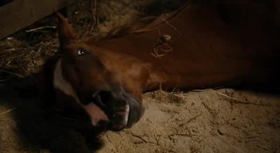 Please don't hurt me Well since you said please - Charlotte's Web