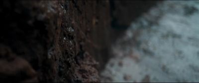 Please don't keep things back from me Roland - Testament of Youth