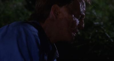 Please don't run away from me - The Fly II