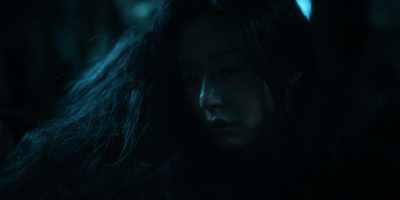 Please… - Kingdom: Ashin of the North