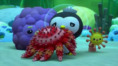 Please… - Octonauts and the Great Barrier Reef
