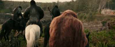 Please...
I know what it's like to lose a son. - War for the Planet of the Apes