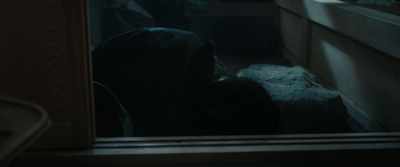 Please listen to me!
I need your help killing Godzilla. - Godzilla Minus One