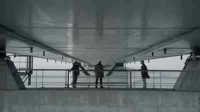 Please, please. Please don't shoot. - The Bridge