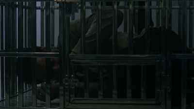 Please, please, please let
me out of here, please. - The Collective