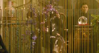Please read her fortune. - The Confidence Man JP - The Movie -