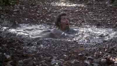 Please! - Southern Comfort
