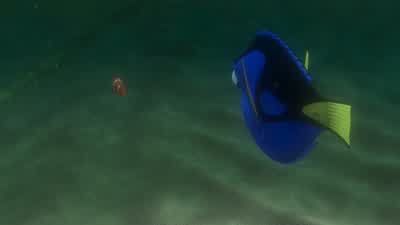 Please. - Finding Nemo