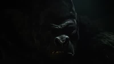 Please. - The Flash