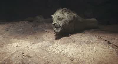 Please. - Mufasa: The Lion King