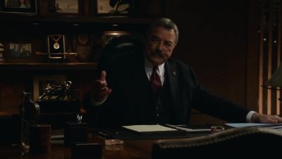 Please. - Blue Bloods