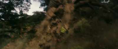 Please tell the wind to let my love pass - Godzilla vs  Kong