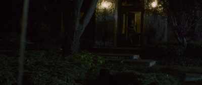 Please, wait! Please! Wait. - Albatross
