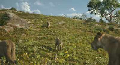 Please. We can't wage
this battle alone. - Mufasa: The Lion King