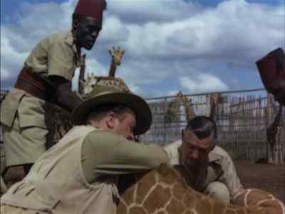 Plenty deep, all right. - Mogambo