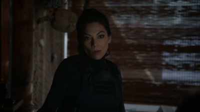 Plus, Dana's already upset - True Lies