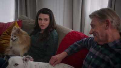 Plus, I gotta train these dogs - The Dog Days of Christmas
