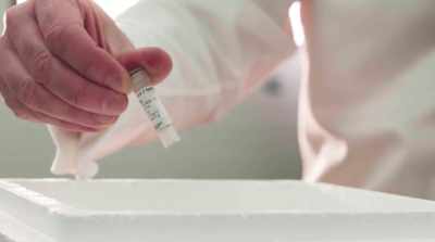 Podemos fazer
e purificar a proteína - Race Against Pandemic