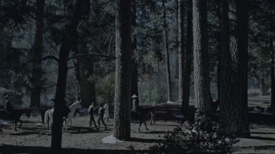 Point is, - Westworld