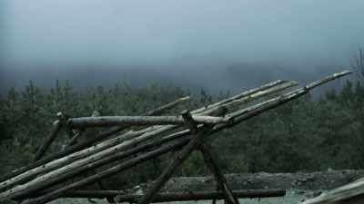 Pointy branches and trees
felled toward the enemy, - Blood and Fury: America's Civil War