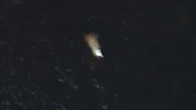 "Polar bears swarm Seal River." - Secrets of the Whales