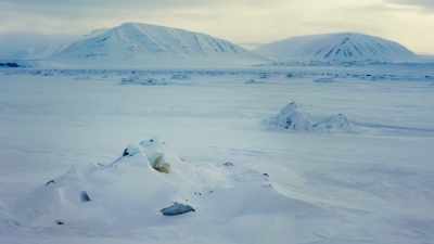 Polar bears. - Frozen Planet II