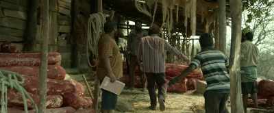 Police are observing us like Jackals for this
address since night, - Pushpa: The Rise
