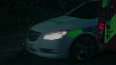 POLICE CAR
SIREN BLARES. - Ridley