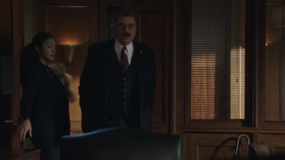 Police Commissioner Reagan. - Blue Bloods