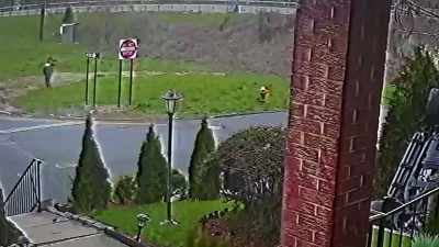 Police deem the crash
an accident, - Neighborhood Wars
