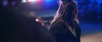 Police, hands in the air! - Vindication