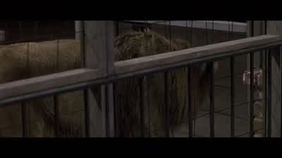 POLICE OFFICER 1: Just turn real slow. - Donnie Brasco