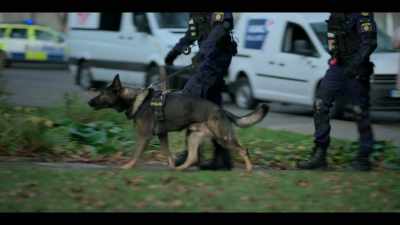 [POLICE RADIO CHATTER] - Young Wallander