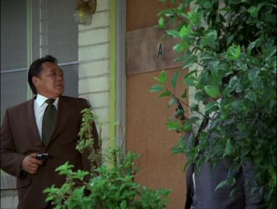 POLICE! - Hawaii Five-0