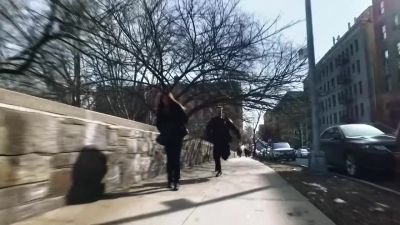 Police! Stop! - Blue Bloods