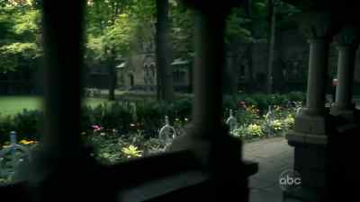 Police! Stop! - Rookie Blue