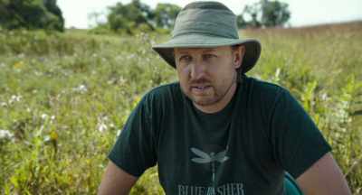 Pollution in the environment, - The Pollinators