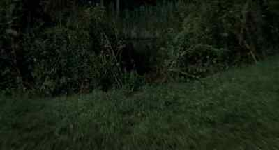 Pond, pond, pond, pond, pond,
pond! - There's Nothing Out There