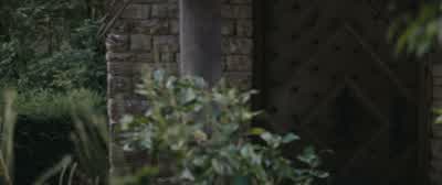 POOH: Are we going in? - Christopher Robin