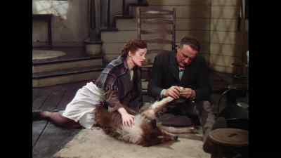 Poor dog. - Lassie Come Home
