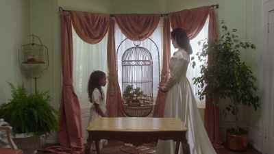 Poor Juniper, such
a beautiful bird. - The Blue Rose