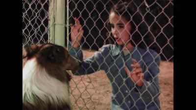 Poor Lassie. - Lassie Come Home