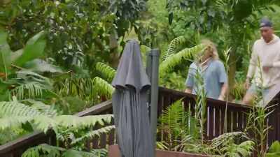 (POP MUSIC) - FBOY Island NZ