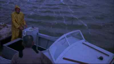 Porter, where the halifax
you been? - Flipper