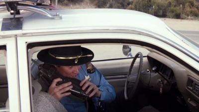 Possum on a gum bush - The Dukes of Hazzard