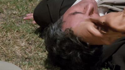 'Possum on a gum bush ' - The Dukes of Hazzard