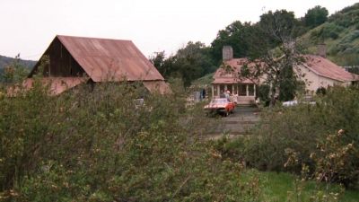 Possum on a gum bush - The Dukes of Hazzard