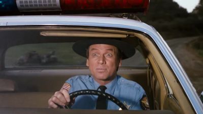Possum on a gum bush - The Dukes of Hazzard