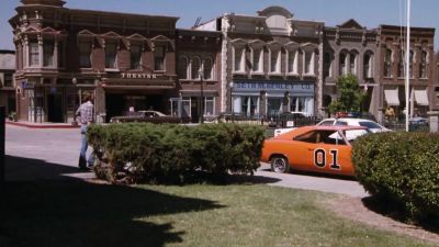 Possum on a gum bush - The Dukes of Hazzard