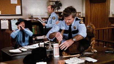 Possum on a gum bush sheriff - The Dukes of Hazzard